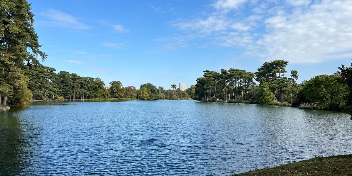 Reflets d'arbres sur un lac tranquille aux portes de Paris