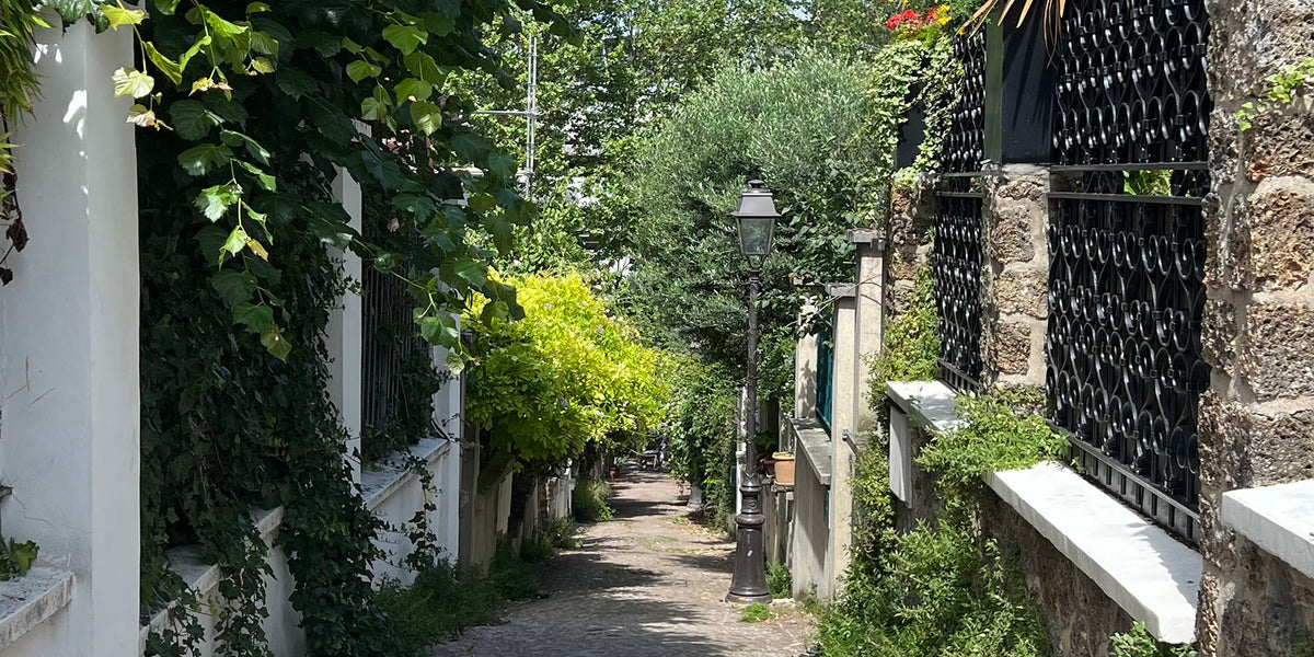 Rue pavée bordée de villas fleuries