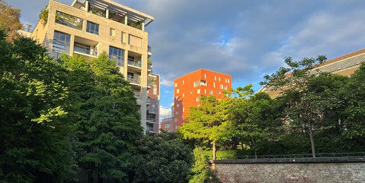 Allée verdoyante d'un jardin de l'ouest parisien