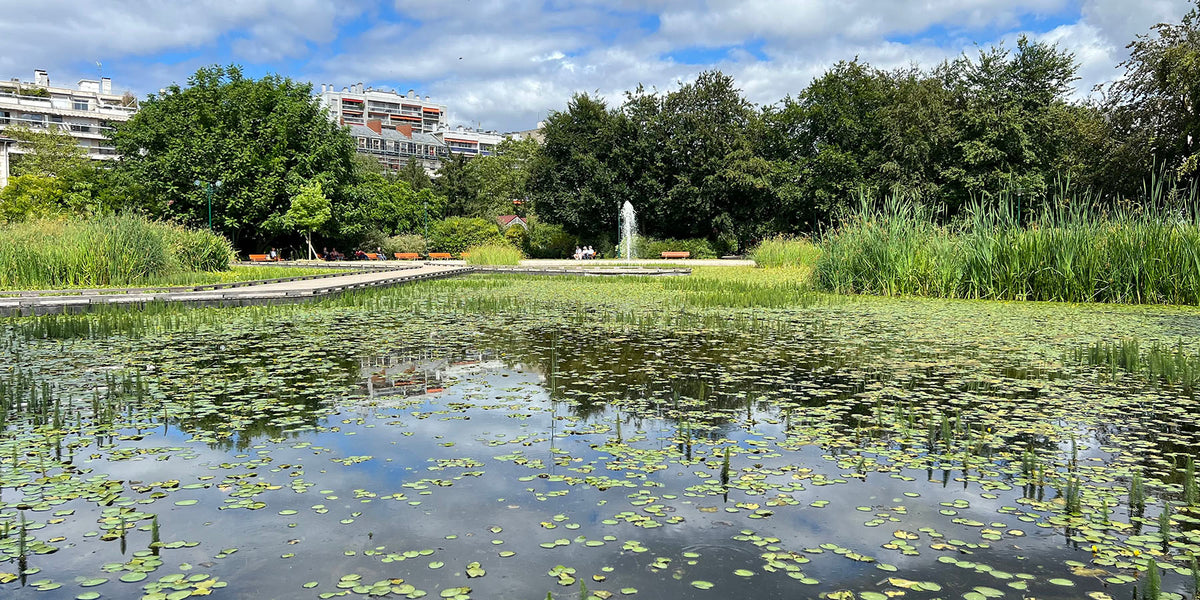 Plan d'eau et verdure d'un parc du sud parisien