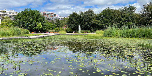 Plan d'eau et verdure d'un parc du sud parisien