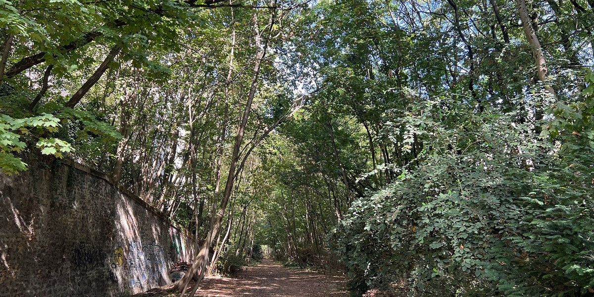 Sentier sauvage entre les immeubles du sud-ouest parisien