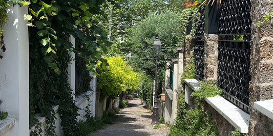 Rue pavée bordée de villas fleuries