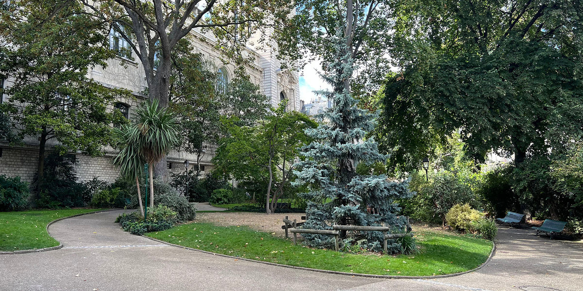 Un square paisible de la rive gauche